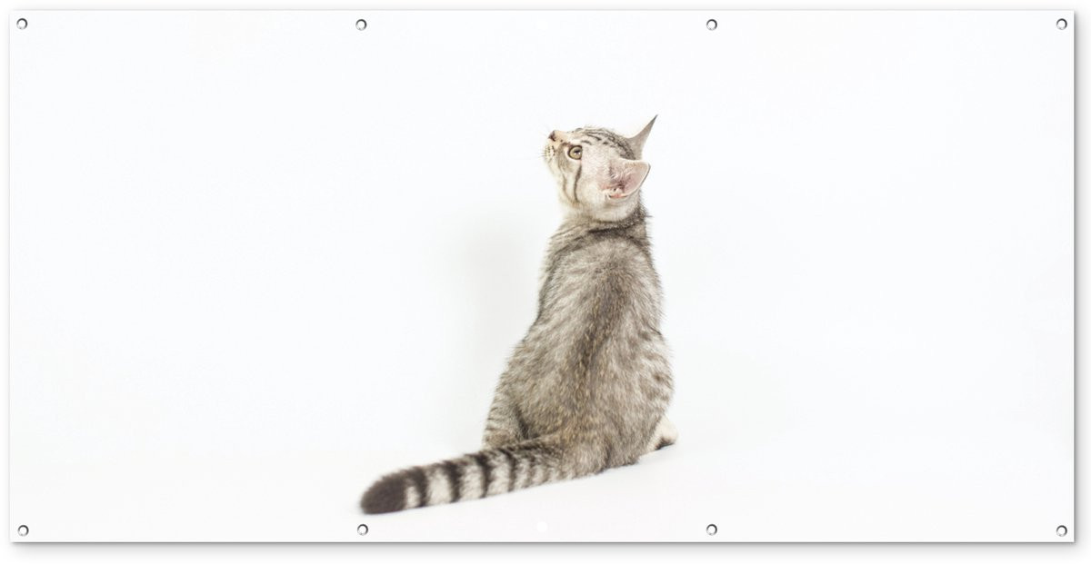 Tuindecoratie Kat Tuinposter Breedte: 200 cm, Hoogte: 100 cm
