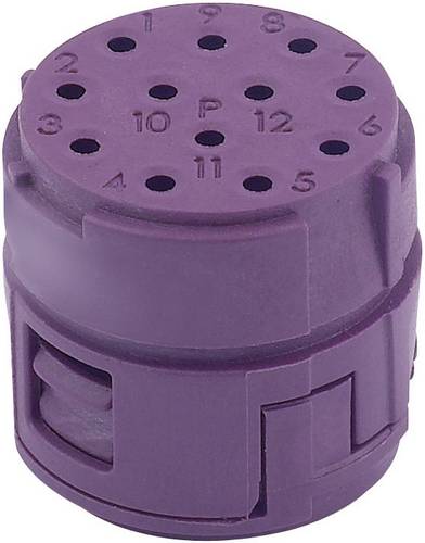 EPIC CIRCON M23 Bucheneinsatz 73002716 EPIC M23 12P LAPP Inhalt: 1St.