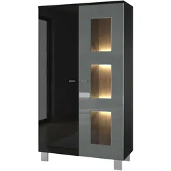 VITRINE Denjo Tür in Grau Hochglanz