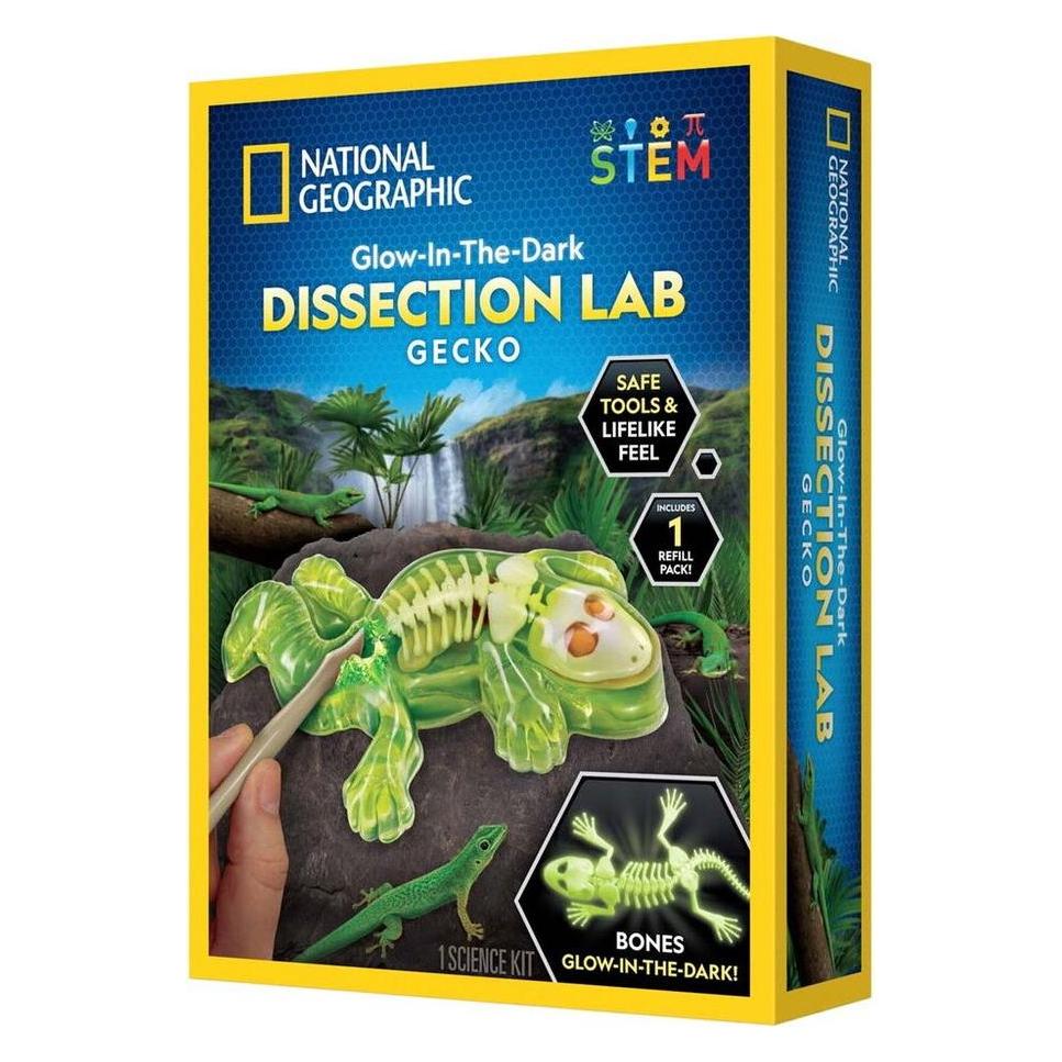 National Geographic Gecko Dissection Lab (29-2451) (29-2451)