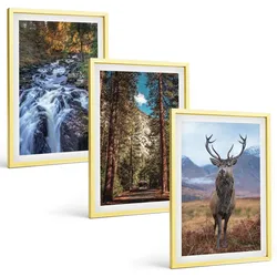 BILDER SET 3er Set - 40x60 cm Goldrahmen - Wasserfall Wald Berge Hirsch Natur