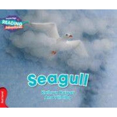 Cambridge Reading Adventures Seagull Red Band, Taschenbuch von Kathryn Harper, Cambridge Academic, 978-1-316-50310-2