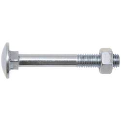 SWG 223816019 Schlossschraube 160 mm Vierkant Stahl 50 St.