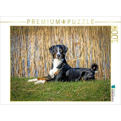 CALVENDO Puzzle Appenzeller Sennenhund | 1000 Teile Lege-Größe 64x48cm Foto-Puzzle für glückliche Stunden, Sonstige von , Calvendo Puzzle