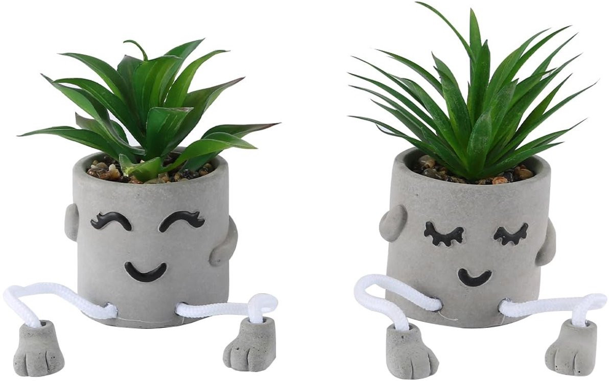 Set van 2 Mini Cementen Potten met Kunstmatige Vetplanten van Dailygoods