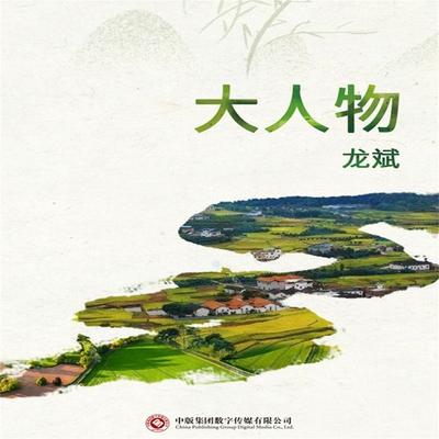 大人物 - 龙斌, Audio, 4071498599747