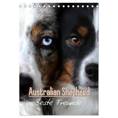 Australian Shepherd - Beste Freunde (Tischkalender 2026 DIN A5 hoch), CALVENDO Monatskalender