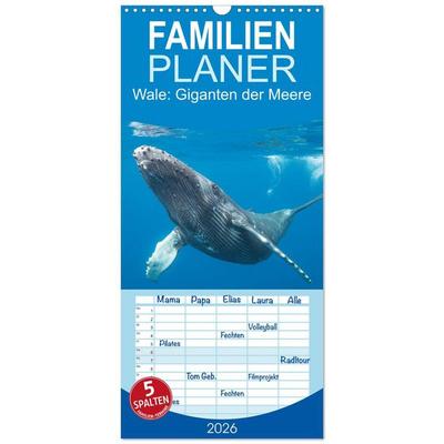 Familienplaner 2026 - Wale: Giganten der Meere mit 5 Spalten (Wandkalender, 21 x 45 cm) CALVENDO