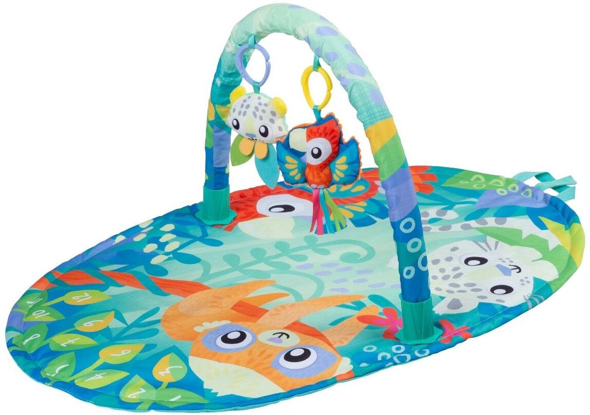 PLAYGRO - Mighty Milestones Play Gym (10188673)