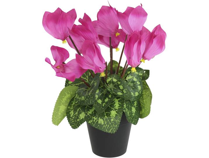 Kunstblume I.GE.A. Alpenveilchen im Topf , rosa (dunkelrosa), B:20cm H:28cm L:18cm, Polyester, Kunstpflanzen, Kunstblume, Künstliche Blume Dekopflanze Kunstpflanze Pflanze Primeln Seidenblume