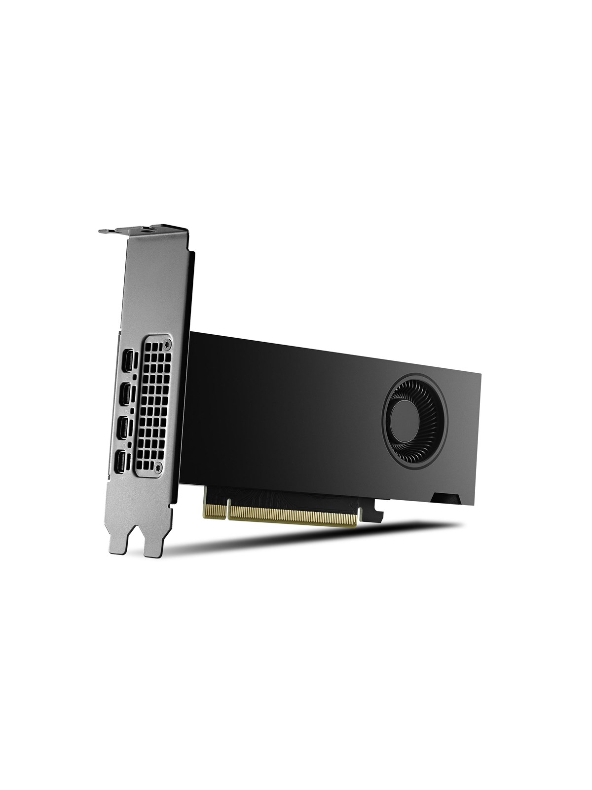 PNY RTX 2000 Ada Small Box - 16GB GDDR6 RAM - Grafikkarte
