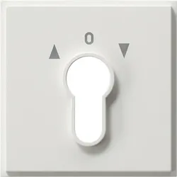 Gira Zentralpl. Schlüssel. rws 066466