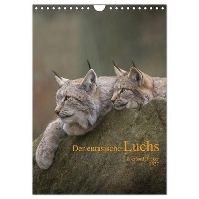 Der eurasische Luchs (Wandkalender 2027 DIN A4 hoch), CALVENDO Monatskalender