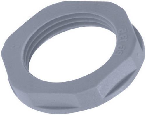 LAPP 53119070 SKINTOP GMP-GL-M 63X1,5 SGY Gegenmutter M63 Polyamid Silber-Grau (RAL 7001) 1 St.
