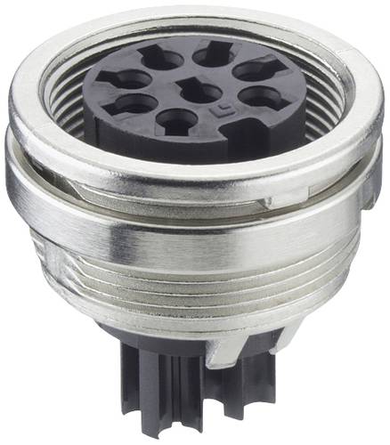 Lumberg KFV 50/6 C Kupplung Kupplung, Einbau Gesamtpolzahl: 5