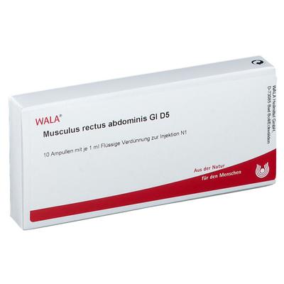 Musculus Rectus abdominis GL D 5 Ampullen 10x1 ml