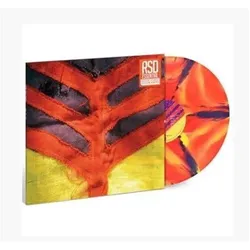 United Medical Partners, Schallplatten, Yeah Yeah Yeahs – Show Your Bones (orange/gelb/lila marmoriert) (LP) (Yeah Yeah Yeahs)