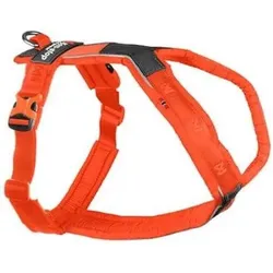 Non-Stop Dogwear Line Harness 5.0 Orange 2 (2, Hund, Allgemein, Fahrrad, Hundesport, Spazieren), Halsband + Leine