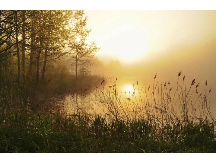 Papermoon Stunning Foggy Landscape glatt