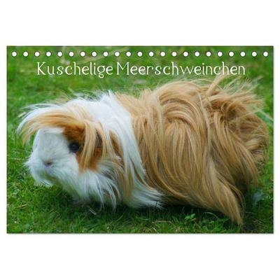 Kuschelige Meerschweinchen (Tischkalender 2027 DIN A5 quer), CALVENDO Monatskalender