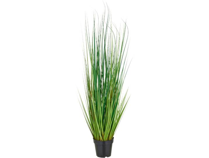 Kunstgras CREATIV GREEN Grasbusch Miscanthus , grün, H:115cm, Kunststoff, Kunstpflanzen, Kunstgras, mit naturgetreuen Grashalmen