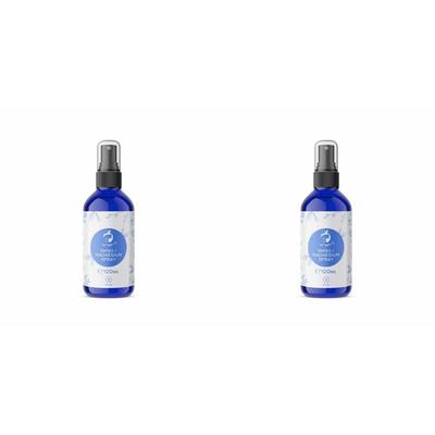 Naturvit Dmso Magn Spray x2 2x100 ml