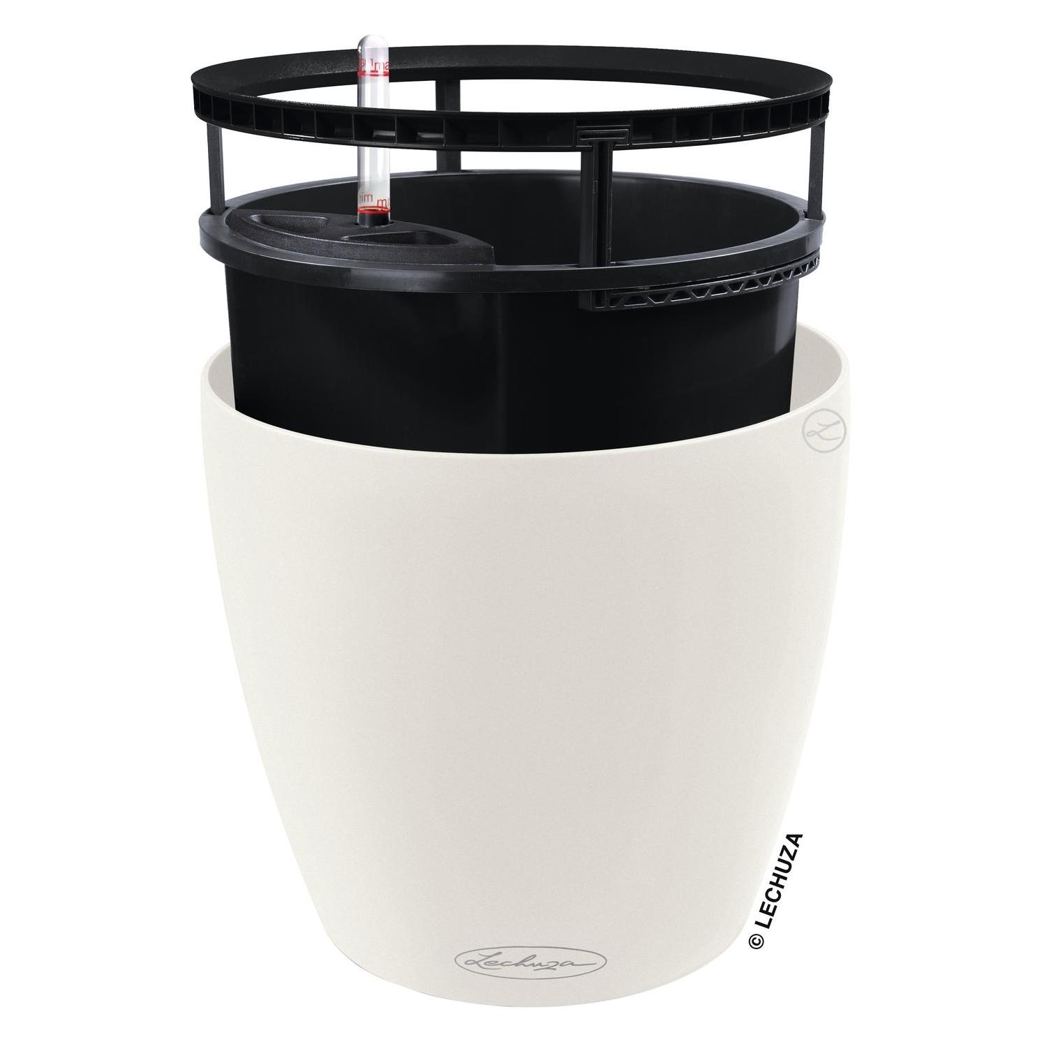 Lechuza Classico Color. (43 x 43 x 39 cm) (14290)