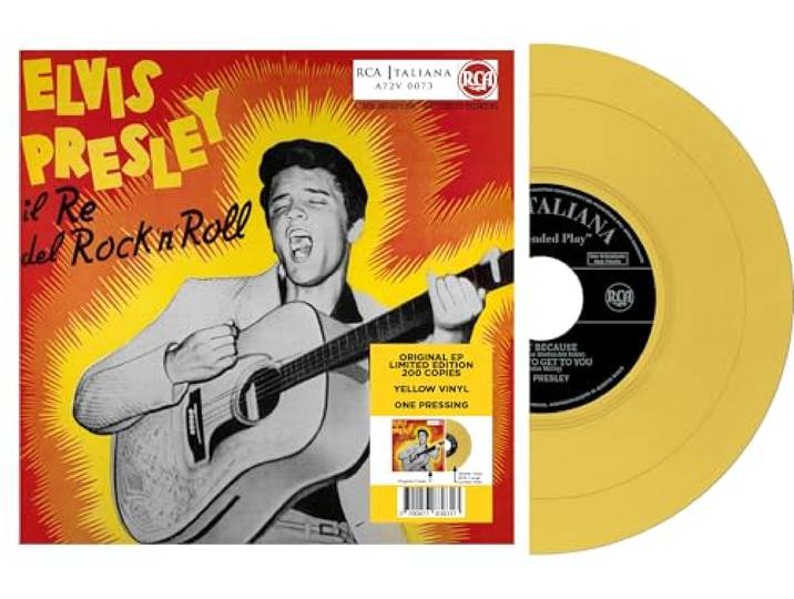Il Re Del Rock 'n' Roll