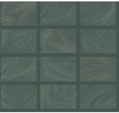 A-Street Prints Bronson Evergreen Topography Wallpaper