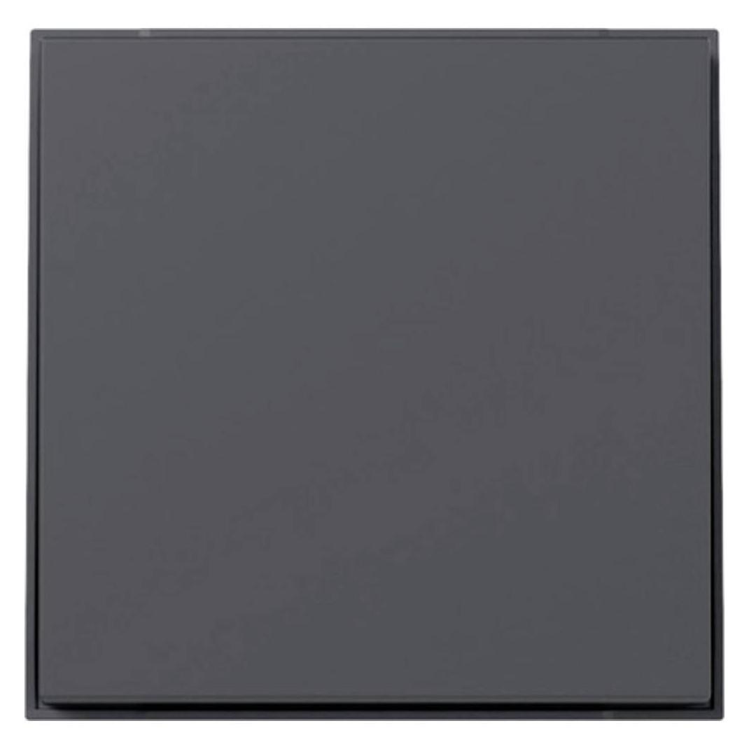 Gira Wippe gerade (349667)