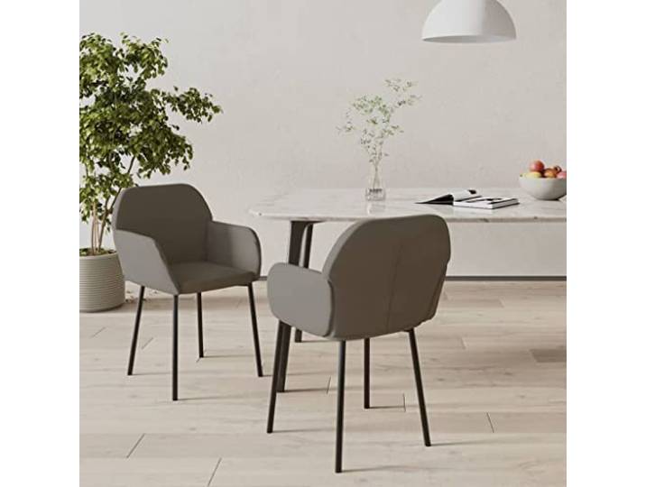 HGPOTUY 2er Set Esszimmerstühle Samt Dunkelgrau Gepolstert, Metallrahmen, Ergonomisches Design, Belastbar bis 110 kg