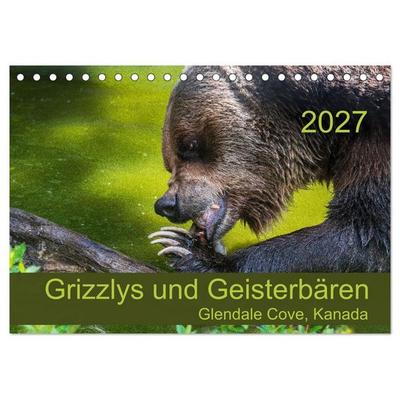 Grizzlys und Geisterbären - Glendale Cove, Kanada (Tischkalender 2027 DIN A5 quer), CALVENDO Monatskalender