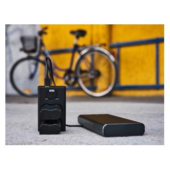 Newell Kameraladegerät DL-USB-C Zweikanal-Ladegerät für DMW-BLC12-Akkus (Kamera Akku Ladegerät) (N-CHG-DL-USB-C-DMW-BLC12)