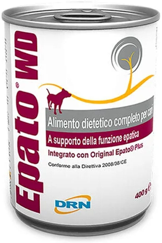 DRN Epato Wd 400G