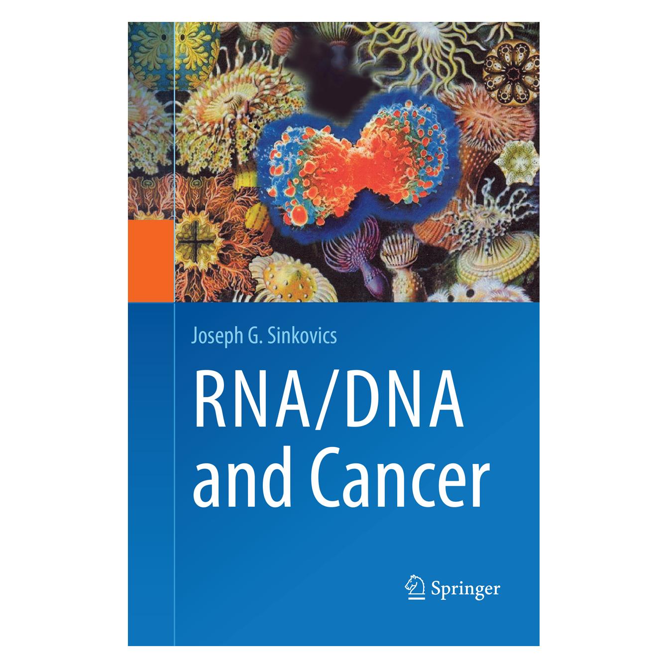 Springer RNA/DNA and Cancer (Englisch, Softcover, Joseph G. Sinkovics) (56008486)