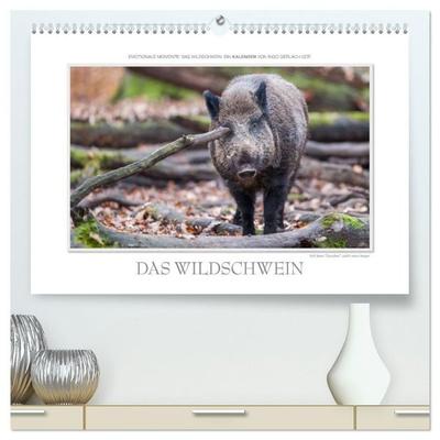 Emotionale Momente: Das Wildschwein. (hochwertiger Premium Wandkalender 2027 DIN A2 quer), Kunstdruck in Hochglanz