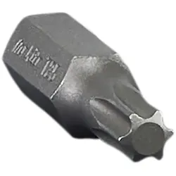 Makita Bit T25, 25 Stück - T25 - 25 mm - B-24658