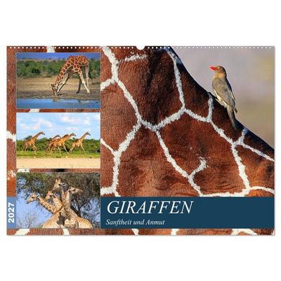 Giraffen - Sanftheit und Anmut (Wandkalender 2027 DIN A2 quer), CALVENDO Monatskalender
