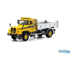 ACE Arwico Collectors Edition Hector Egger Langenthal Saurer D330B N4x4 Kipper 882336
