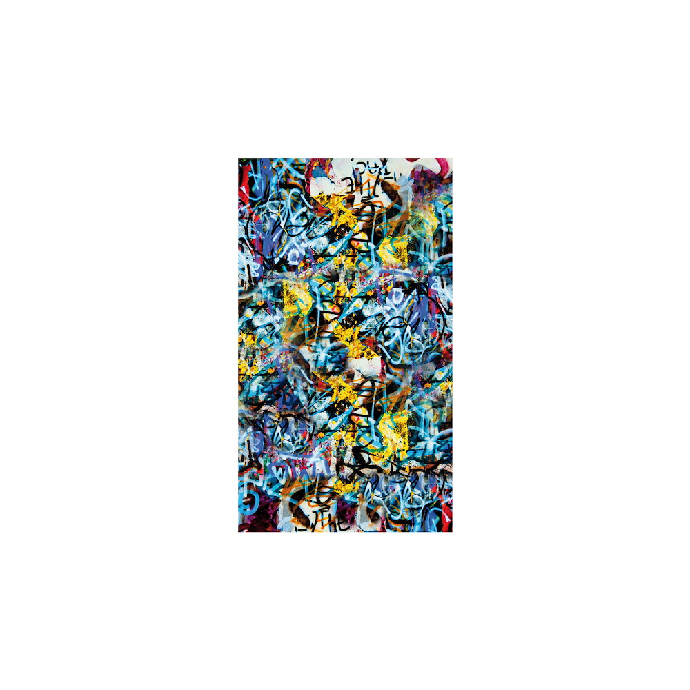 TETZNERJENT VETRO Glasscheibe GRAFFITI B 1030 x H 1800 mm Motivdruck 16971350