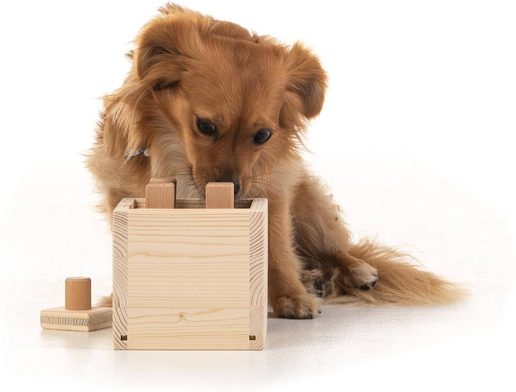 Tier-Intelligenzspielzeug "Hundespiele.ch Babuschka, mittelschwer", braun, B:13,9cm H:15,9cm T:13,9cm, Holz, Tierspielzeuge, Tier-Intelligenzspielzeug, Holzart: Buche, Fichte (Deutschland) braun Einheitsgröße