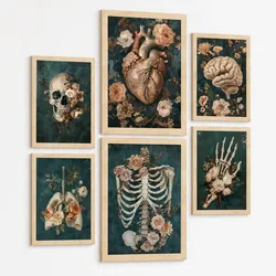 POSTER Kollektion aus 6 Anatomie Drucke und mit Herz Schädel Lungen Nieren und Gehirn Pergament Hintergrund dekoration Größe Rahmenlos A3 & A4