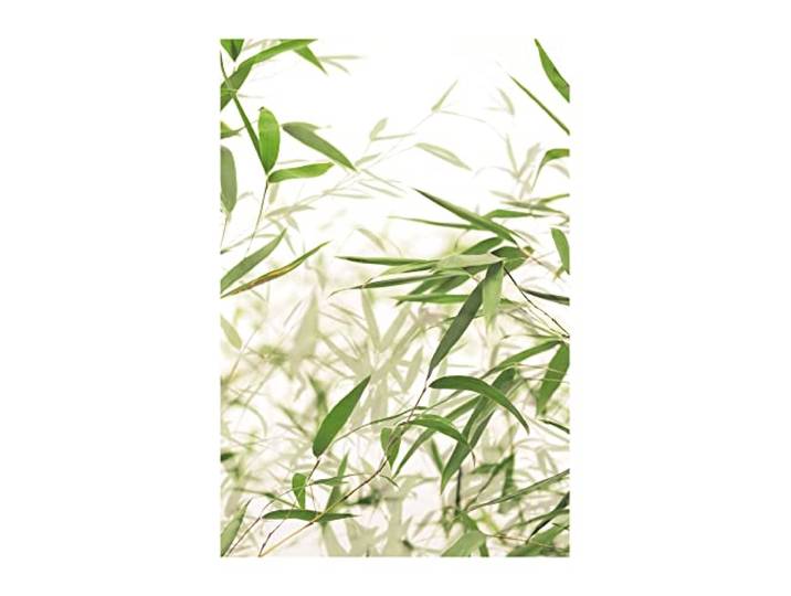 Komar Bamboo Leaves – Taille : 50 x 70 cm Image murale (sans cadre) – Pure Boutique