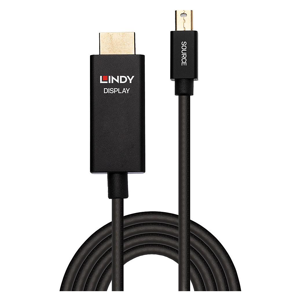 Lindy Videokabel DisplayPort / HDMI (0.50 m) (40920)