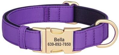 Uplifted Finds Pro Tech Personalized Waterproof Dog Collar purple s