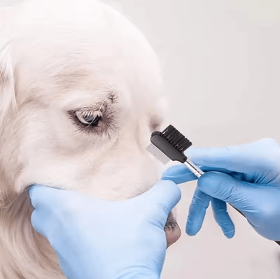 Uplift Curations Pet Eye Comb Brush For Cats & Dogs Double Sided Tear Stain Remover Grooming Tool For Eye Crust & Mucus Pet Eye Comb Brush For Cats & Dogs Double Sided Tear Stain Remover Grooming Tool For Eye Crust & Mucus
