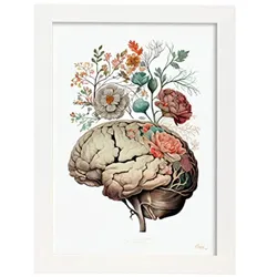 POSTER Anatomie Gehirn A3 Weißer Rahmen