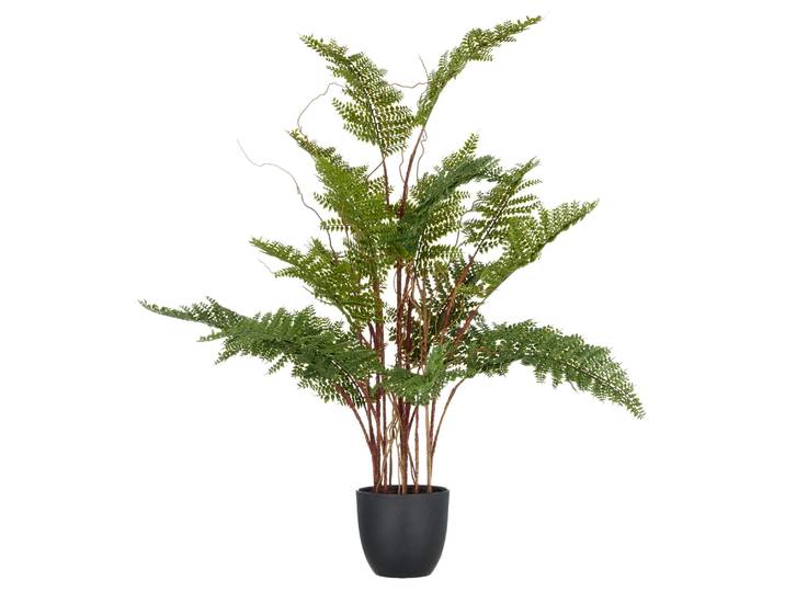 Kunstpflanze CREATIV GREEN Adlerfarn , grün, H:70cm, Kunststoff, Kunstpflanzen, Kunstpflanze, mit zahlreichen Farnwedeln