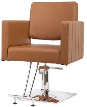 karlinc OmySalon PVC leather stainless steel foot operated for Salon Styling Chair, Hair Cutting Hairdressing Beauty Equipment - N/A