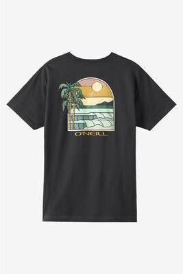 O'Neill s Glassy Days Classic T-Shirt in Phantom, Size Small
